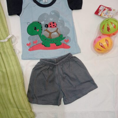 Conjunto Tortuga gris